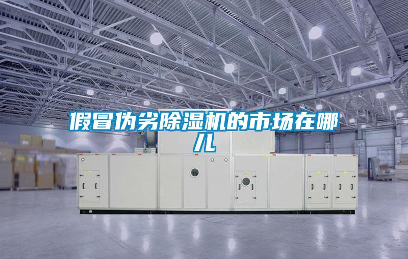 假冒伪劣除湿机的市场在哪儿