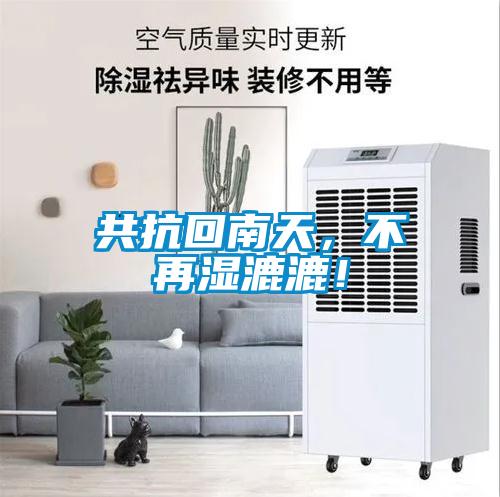 共抗回南天，不再湿漉漉！