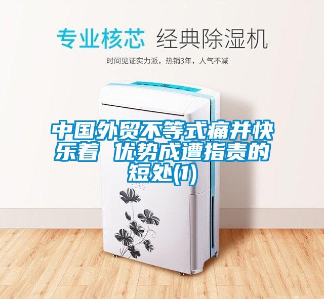 中国外贸不等式痛并快乐着 优势成遭指责的短处(1)