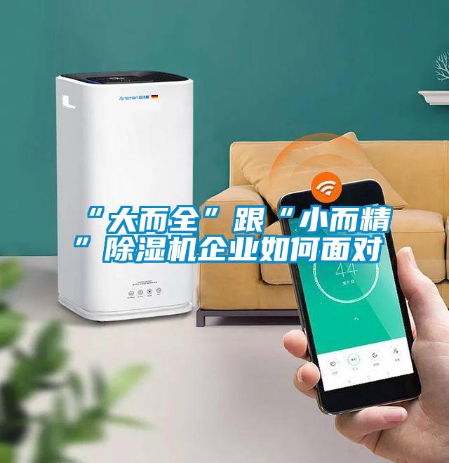 “大而全”跟“小而精”除湿机企业如何面对