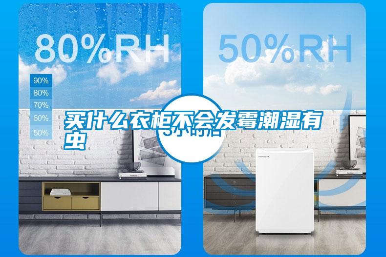 买什么衣柜不会发霉潮湿有虫