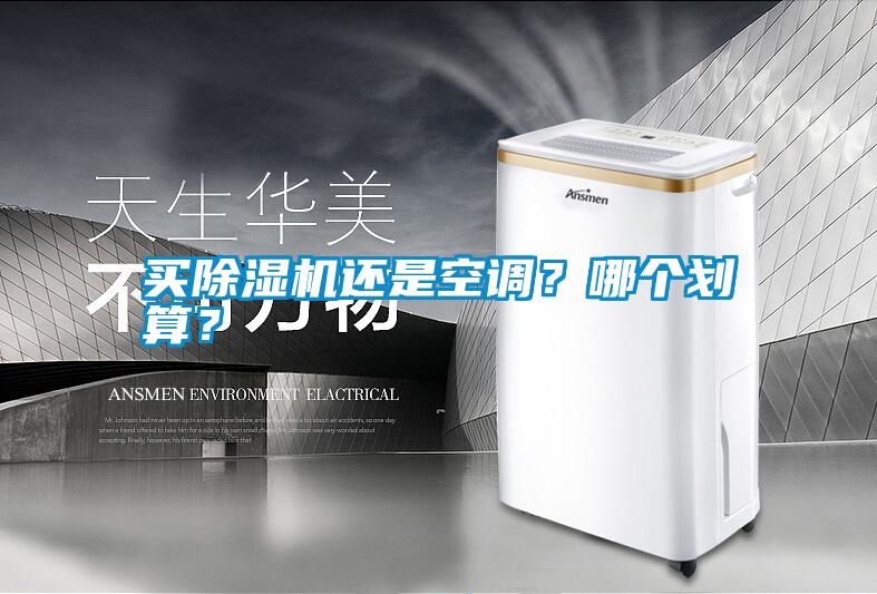 买除湿机还是空调？哪个划算？