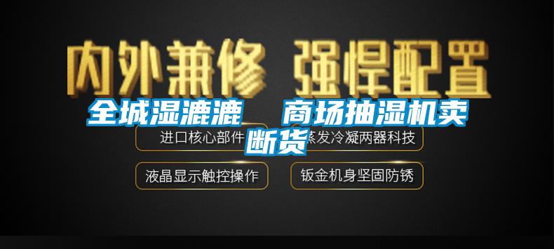 全城湿漉漉  商场抽湿机卖断货