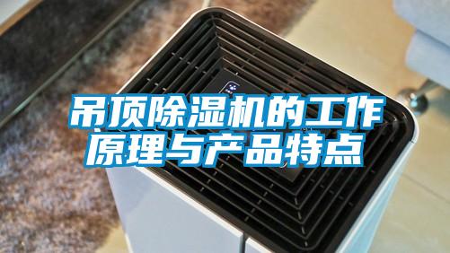 吊顶除湿机的工作原理与产品特点