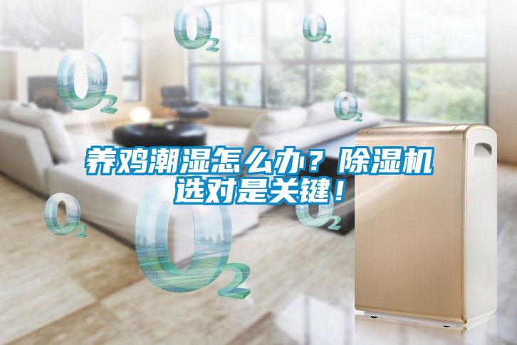 养鸡潮湿怎么办？除湿机选对是关键！