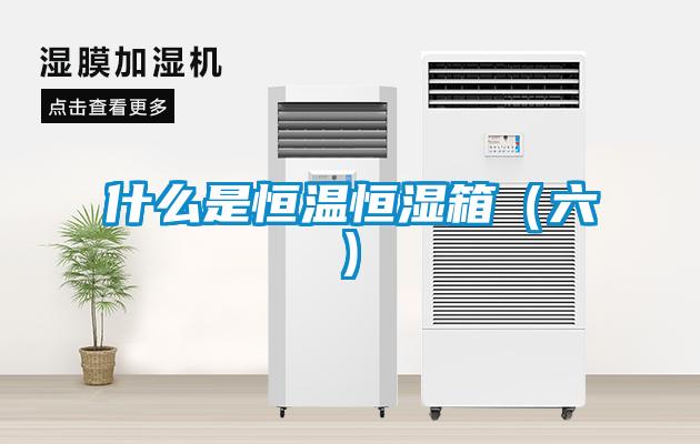 什么是恒温恒湿箱（六)