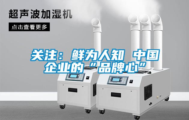 关注：鲜为人知 中国企业的“品牌心”