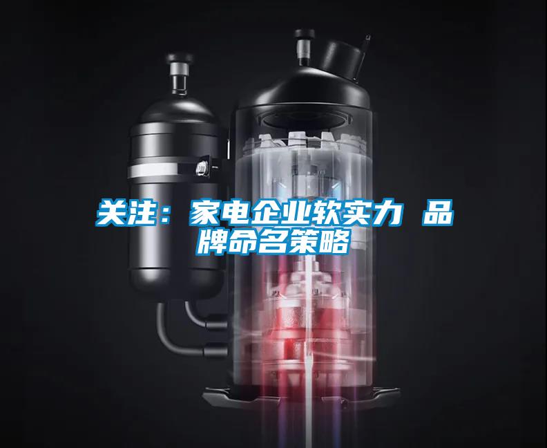 关注：家电企业软实力 品牌命名策略