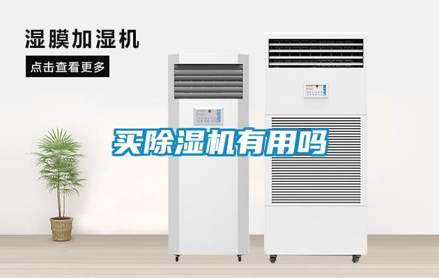 买除湿机有用吗