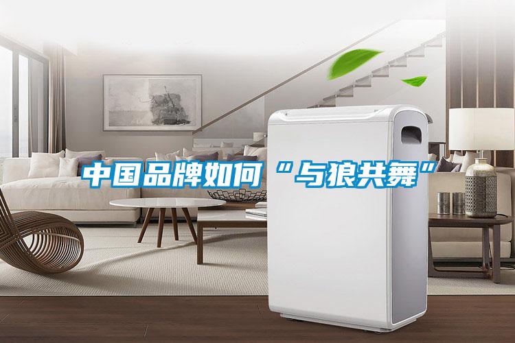 中国品牌如何“与狼共舞”