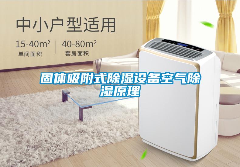 固体吸附式除湿设备空气除湿原理