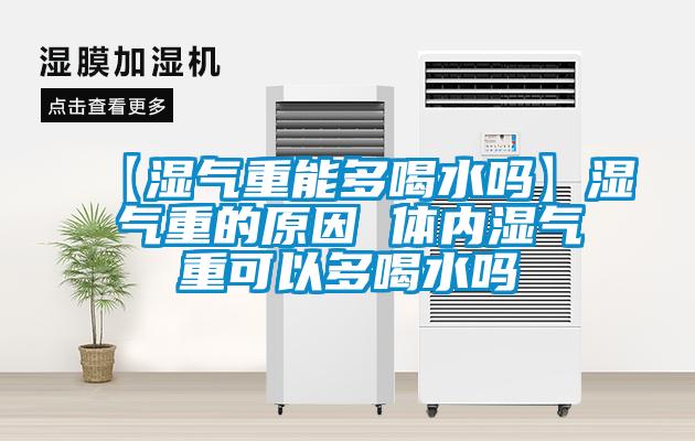 【湿气重能多喝水吗】湿气重的原因 体内湿气重可以多喝水吗