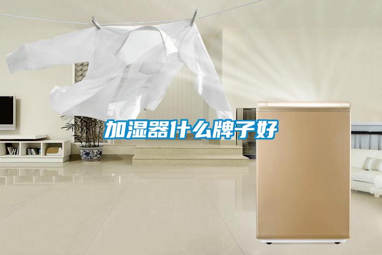 加湿器什么牌子好