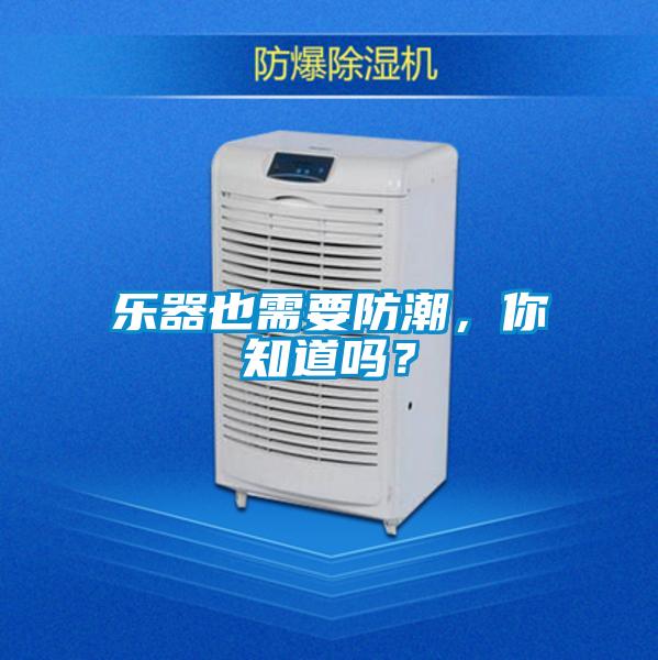 乐器也需要防潮，你知道吗？
