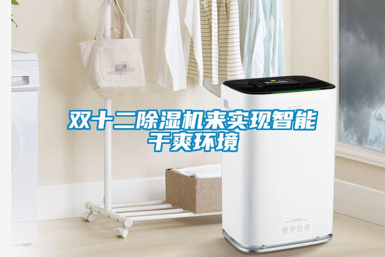 双十二除湿机来实现智能干爽环境