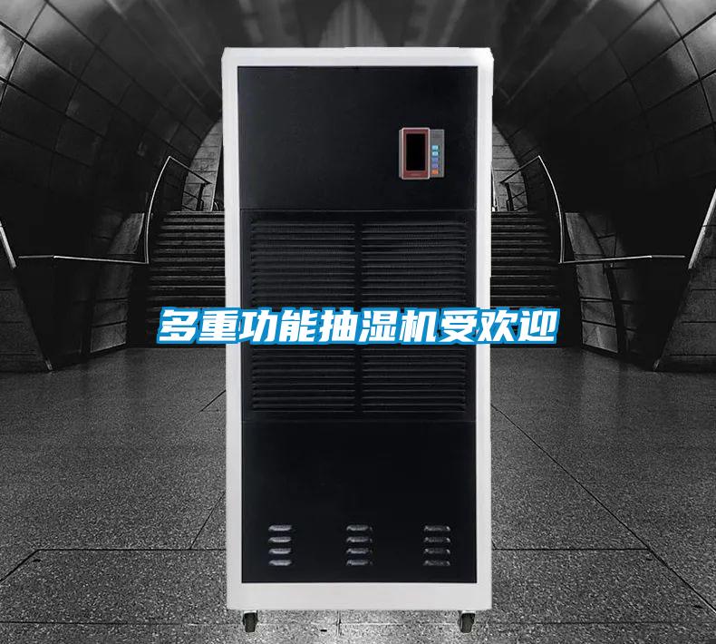 多重功能抽湿机受欢迎