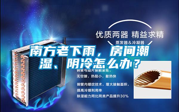 南方老下雨，房间潮湿、阴冷怎么办？
