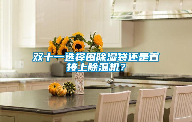 双十一选择囤除湿袋还是直接上除湿机？