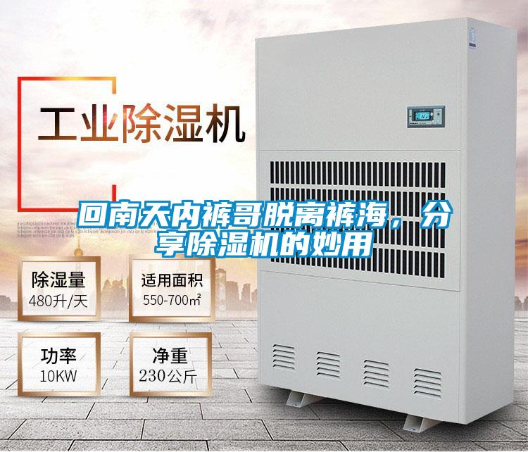 回南天内裤哥脱离裤海，分享除湿机的妙用