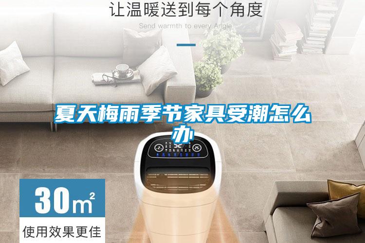夏天梅雨季节家具受潮怎么办