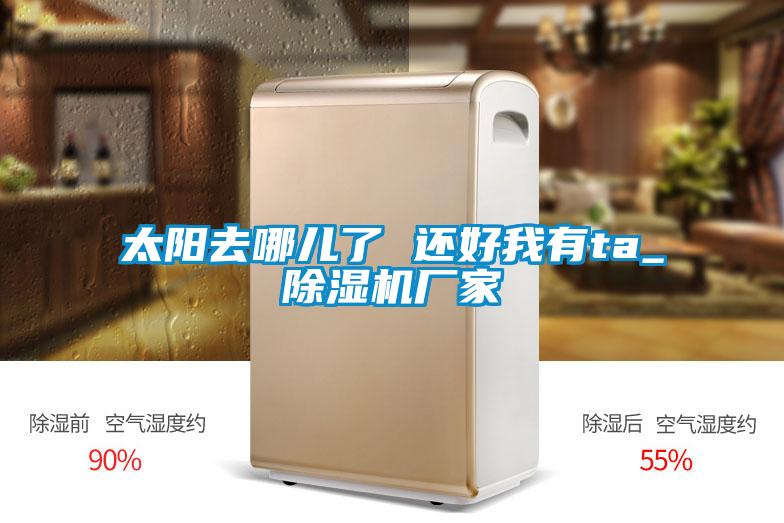 太阳去哪儿了 还好我有ta_除湿机厂家