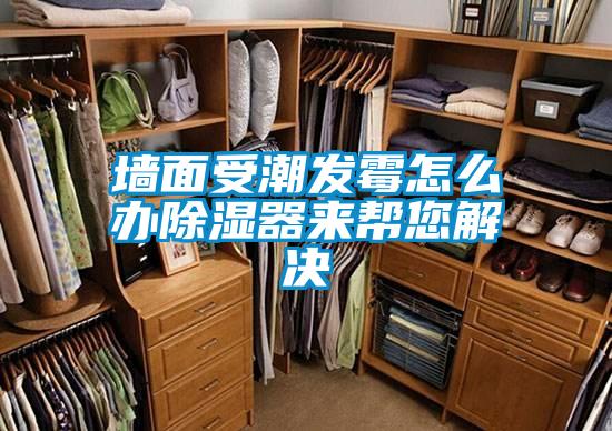 墙面受潮发霉怎么办除湿器来帮您解决