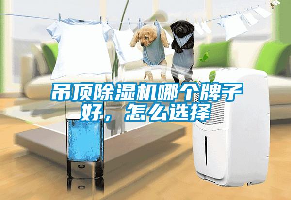 吊顶除湿机哪个牌子好，怎么选择