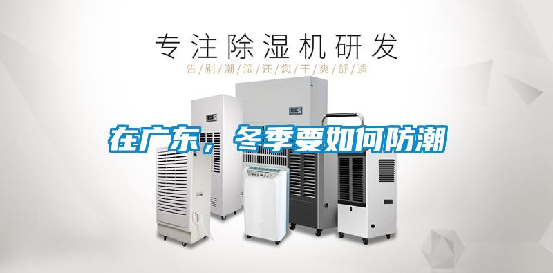 在广东，冬季要如何防潮