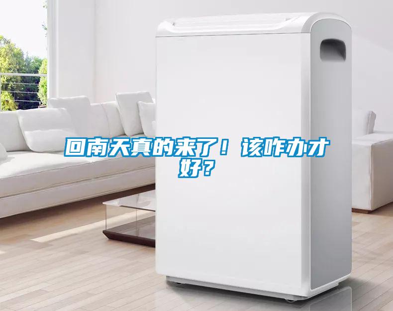 回南天真的来了！该咋办才好？