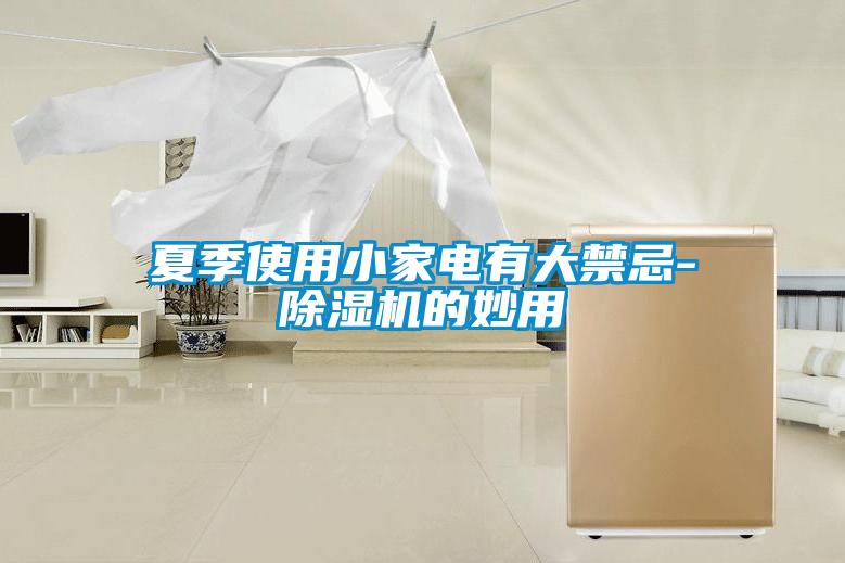夏季使用小家电有大禁忌-除湿机的妙用