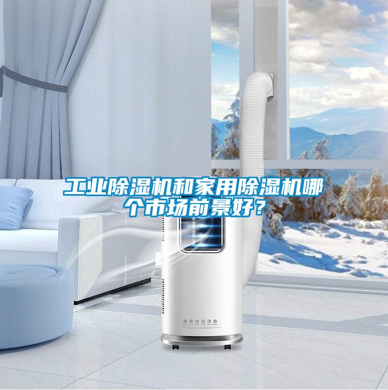 工业除湿机和家用除湿机哪个市场前景好？