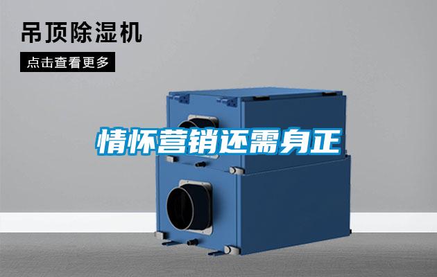 情怀营销还需身正