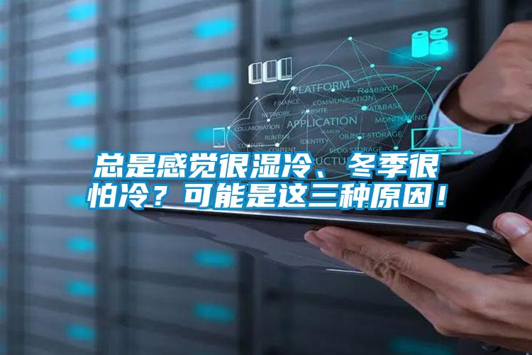 总是感觉很湿冷、冬季很怕冷？可能是这三种原因！