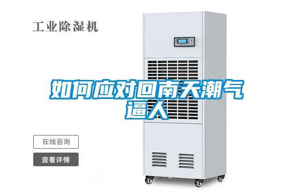 如何应对回南天潮气逼人