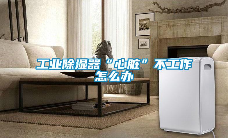 工业除湿器“心脏”不工作怎么办