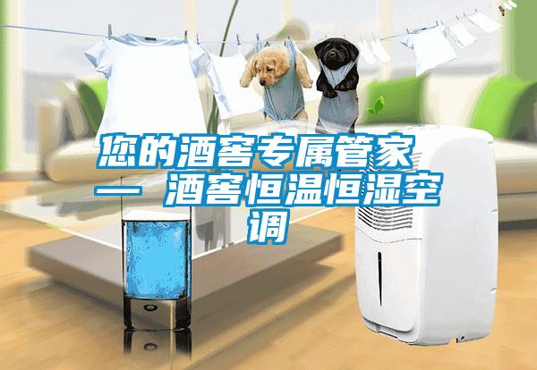 您的酒窖专属管家 — 酒窖恒温恒湿空调