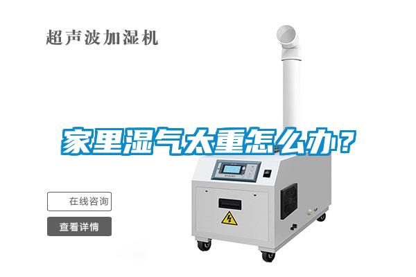 家里湿气太重怎么办？