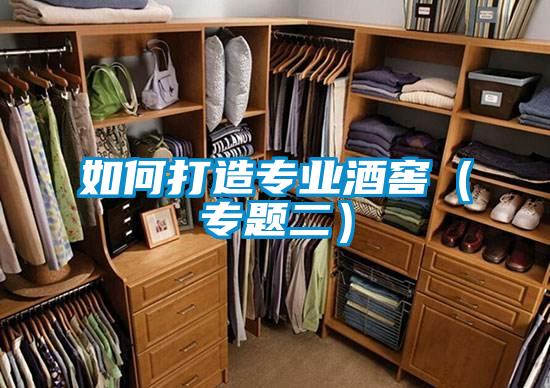 如何打造专业酒窖（专题二）