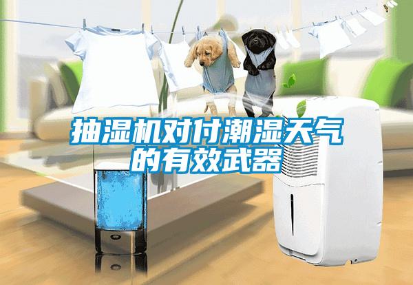 抽湿机对付潮湿天气的有效武器