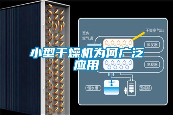 小型干燥机为何广泛应用