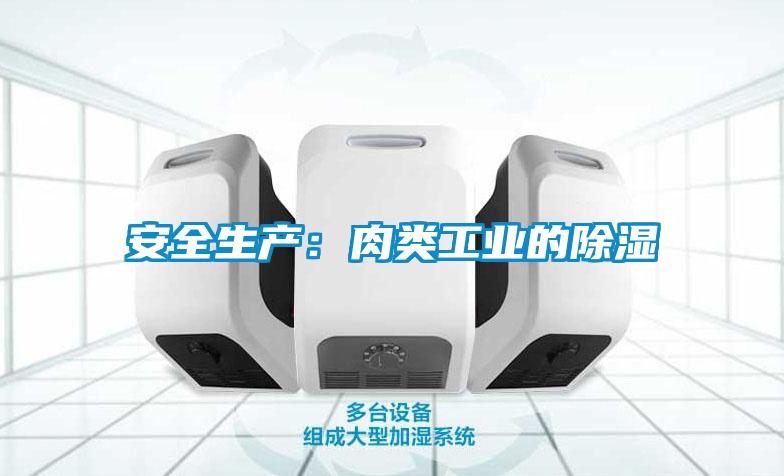 安全生产：肉类工业的除湿