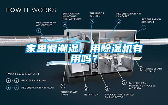 家里很潮湿，用除湿机有用吗？