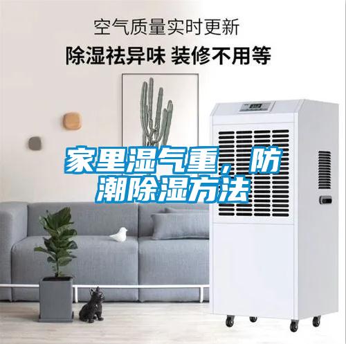 家里湿气重，防潮除湿方法