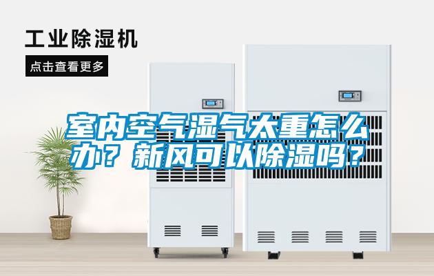 室内空气湿气太重怎么办？新风可以除湿吗？