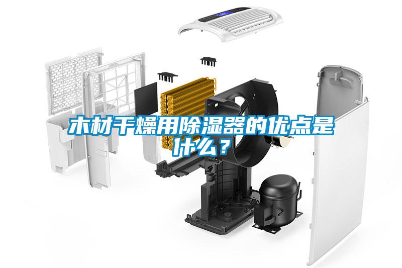 木材干燥用除湿器的优点是什么？