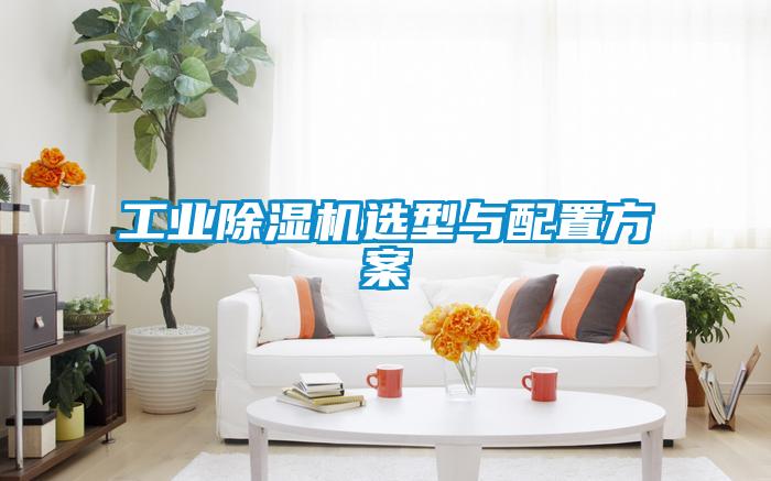 工业除湿机选型与配置方案