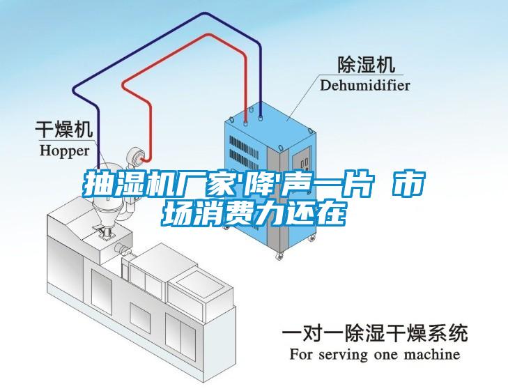 抽湿机厂家'降'声一片 市场消费力还在