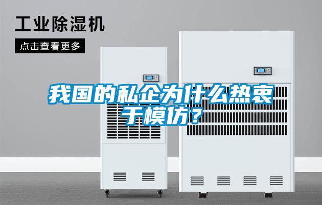 我国的私企为什么热衷于模仿？