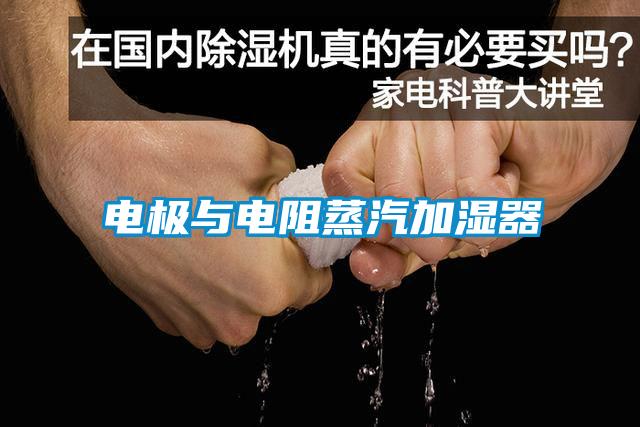 电极与电阻蒸汽加湿器