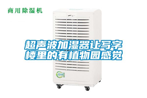 超声波加湿器让写字楼里的有植物园感觉